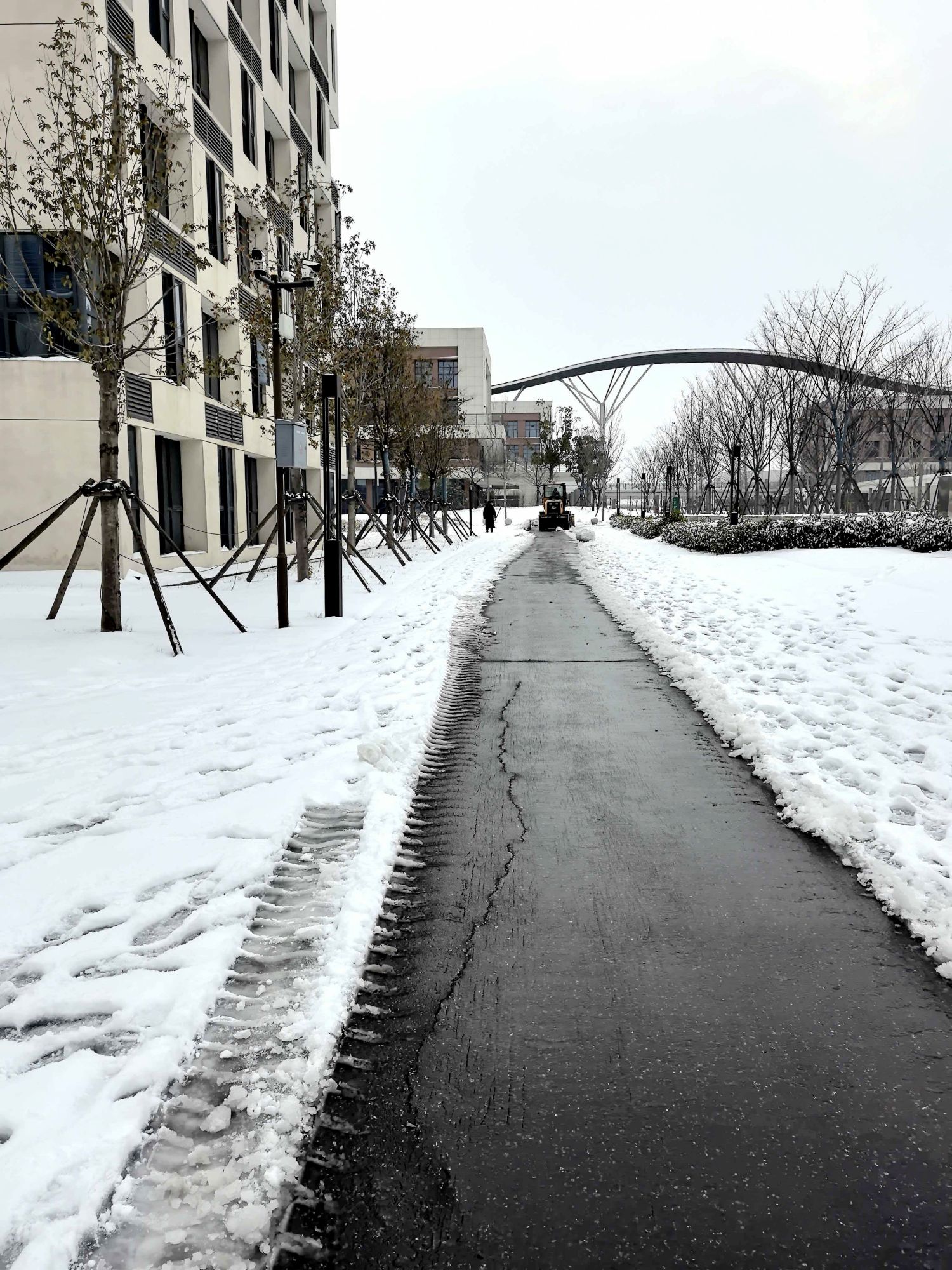 襄阳书院：师生同心打赢积雪“歼灭战”