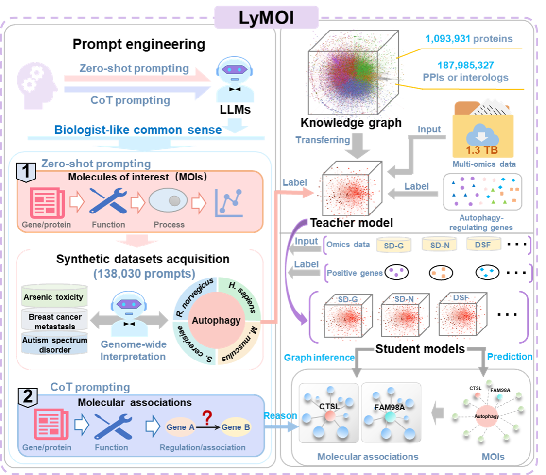 生命学院薛宇团队研发“蓝猫”为海量组学数据注入“常识”与“机制”灵魂