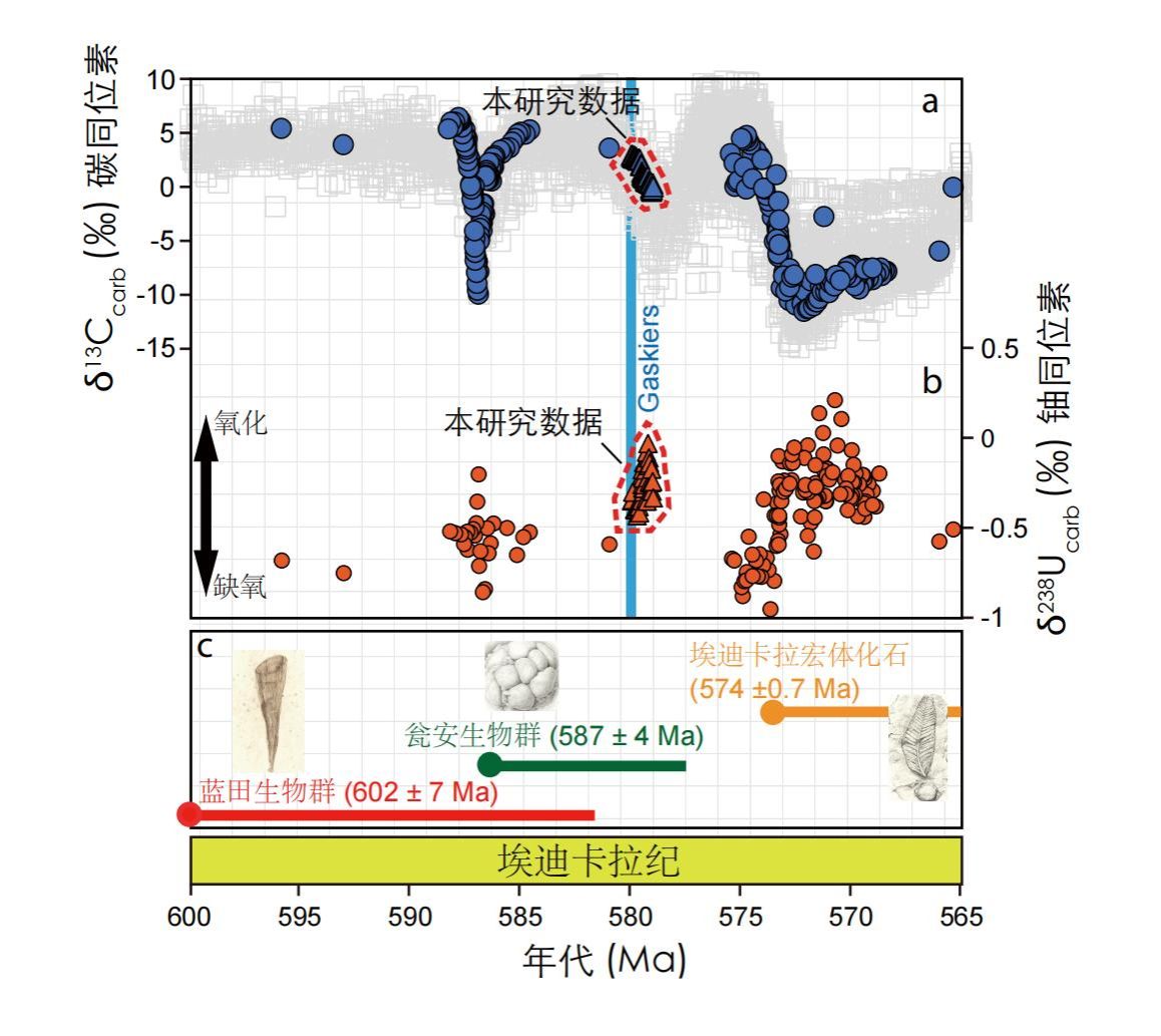 中国地质大学陈中强教授团队首次揭示五亿多年前海洋氧化的周期性机制