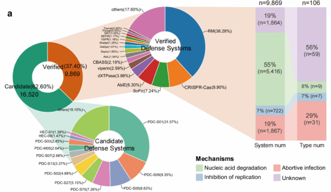 华中农业大学联合海洋三所海洋生物遗传资源重点实验室揭示微生物与病毒在深海冷泉中的生存博弈
