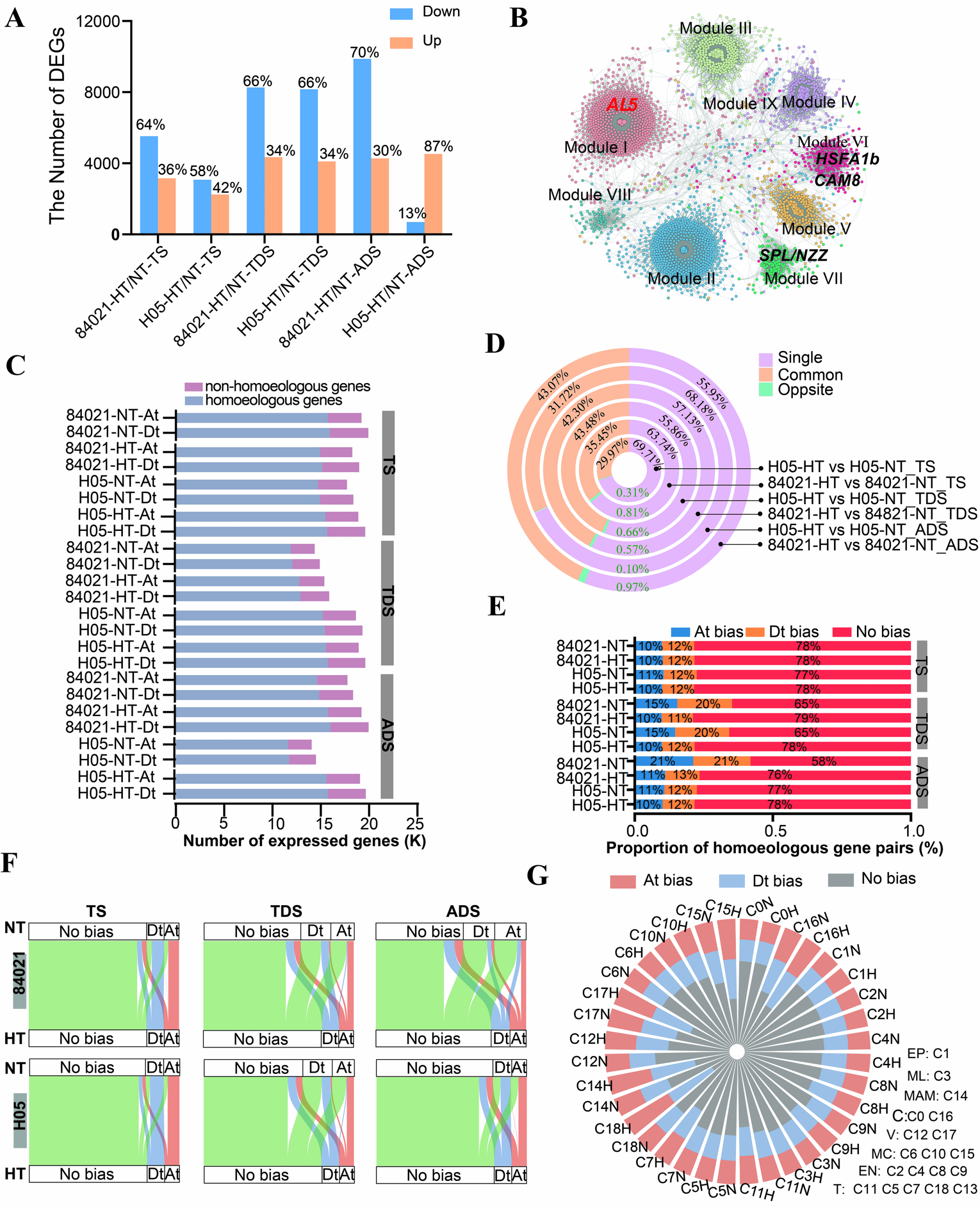 棉花遗传改良团队揭示GhAL5介导的染色质三维重排调控棉花高温下雄性育性新机制
