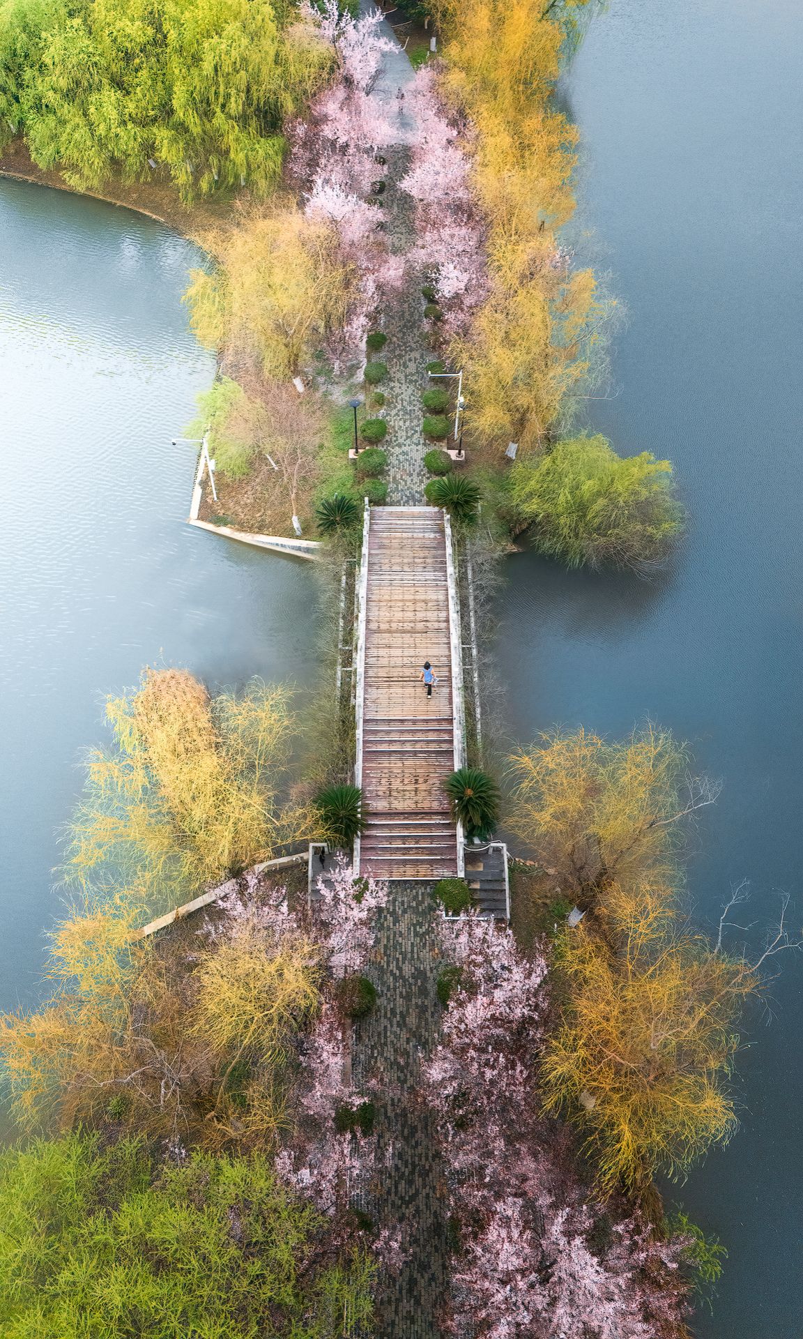 2025年度十大新闻、十大人物、十大图片、十大官微、十大官博、十大视频