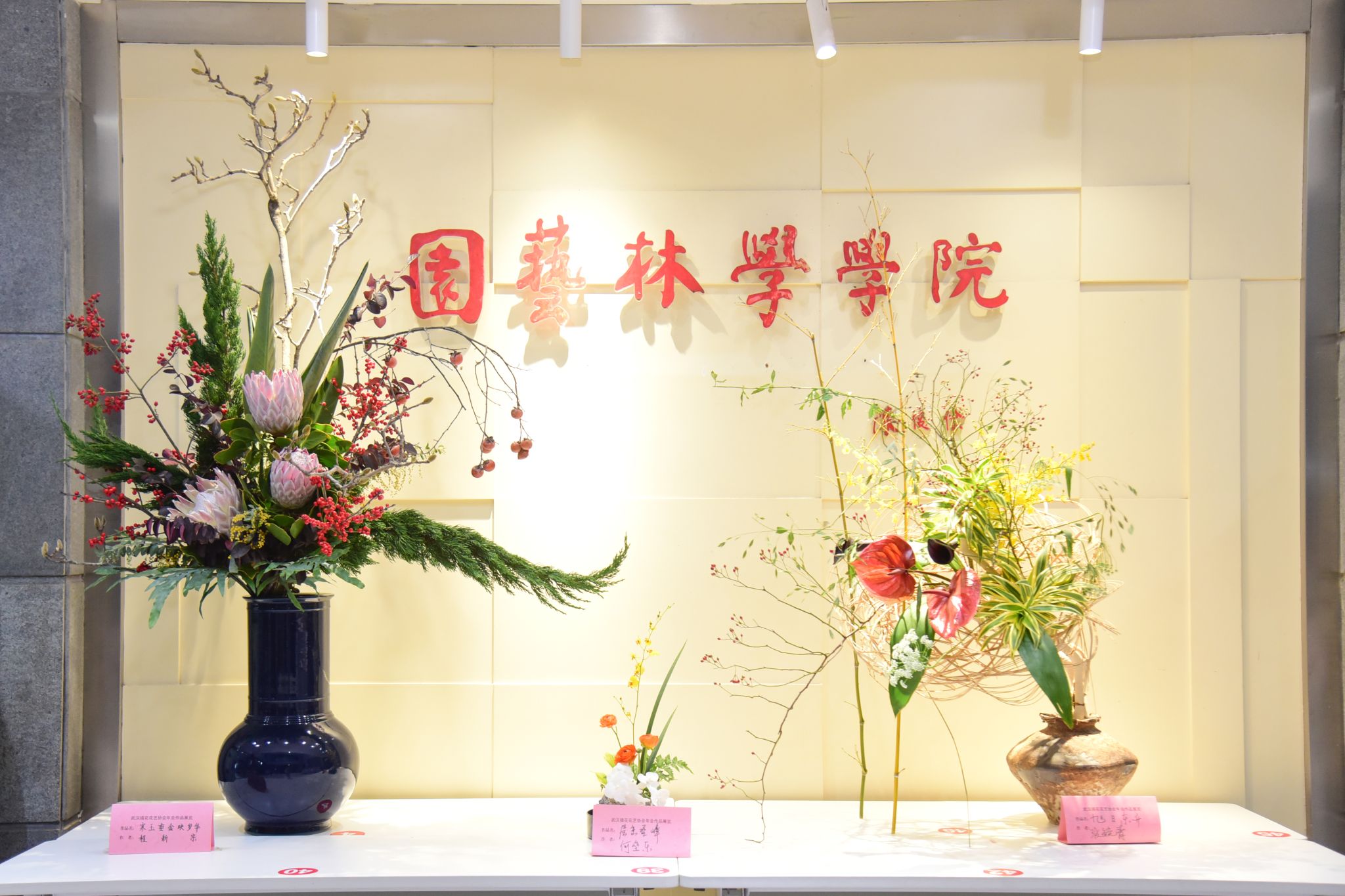 融汇智创 绽放芳华：2025武汉市插花花艺协会首届学术年会在华中农业大学举行