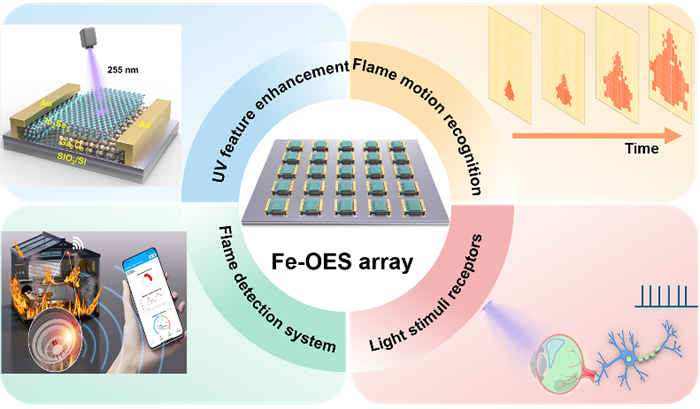 王浩教授团队在感内计算火焰智能监测领域取得新进展