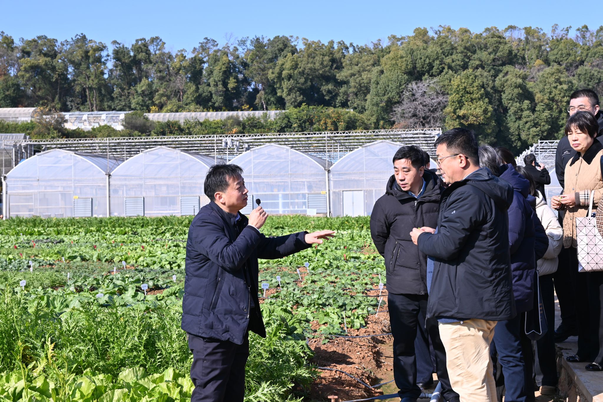 “园艺作物种质资源精准鉴定”2025年度总结交流及项目推进会在华中农业大学召开