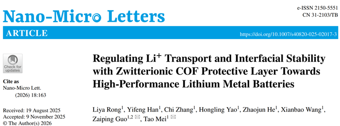 梅涛教授团队在锂金属电池领域取得进展