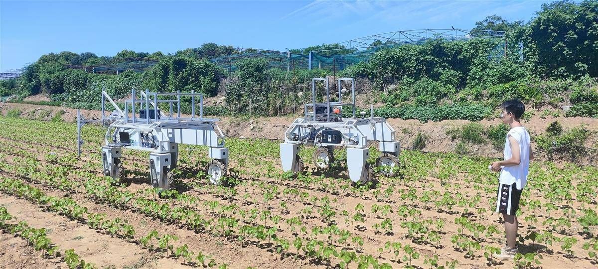 【湖北日报】政府当“合伙人”促进科技成果转化 珞瑜硅巷改造即将启航