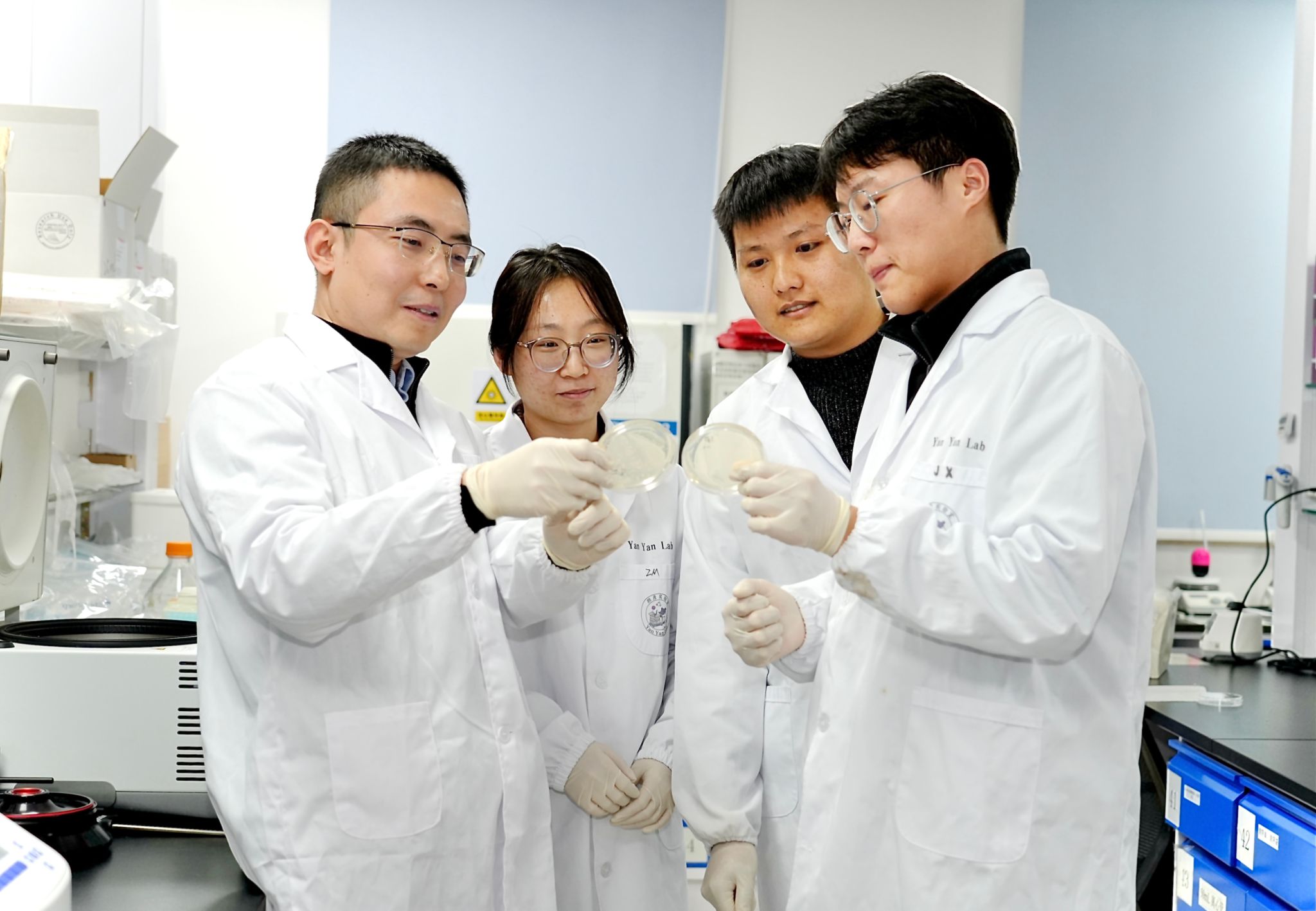 《自然》杂志发表华中农大颜彦教授团队联合研究成果