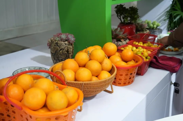 湖北农博会开幕 长江新区多家企业产品亮相