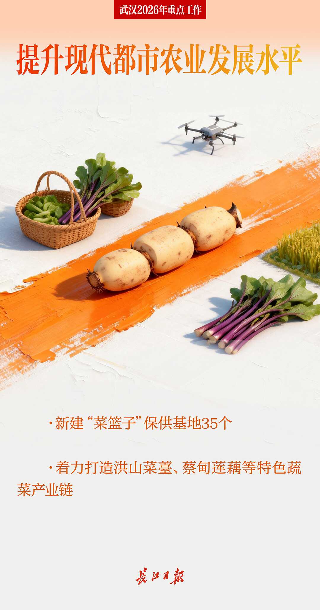 2026，武汉要干这些大事！