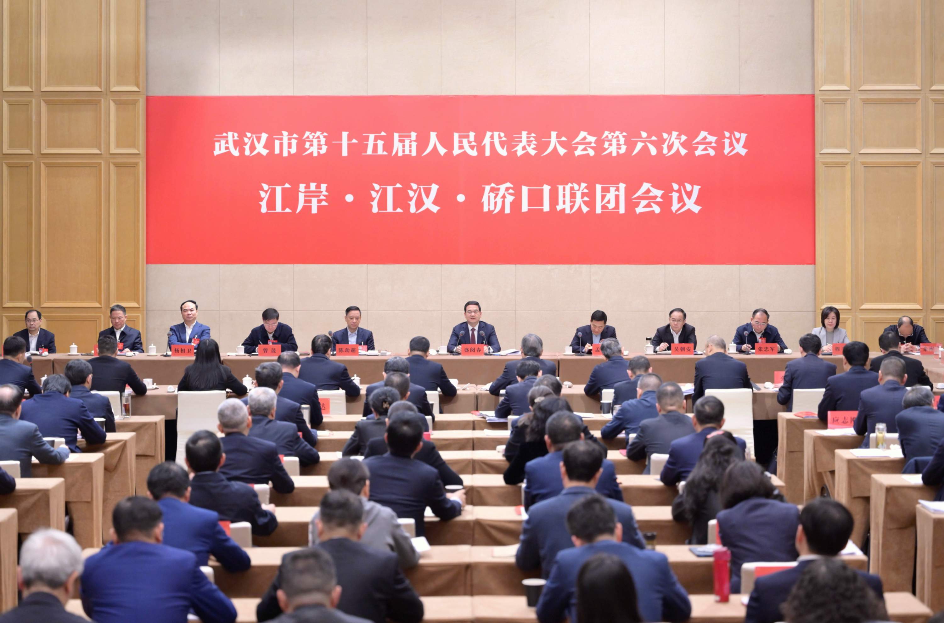 盛阅春参加江岸江汉硚口代表团联团审议：加快探索中心城区转型发展新路径，努力在全市高质量发展中走在前列