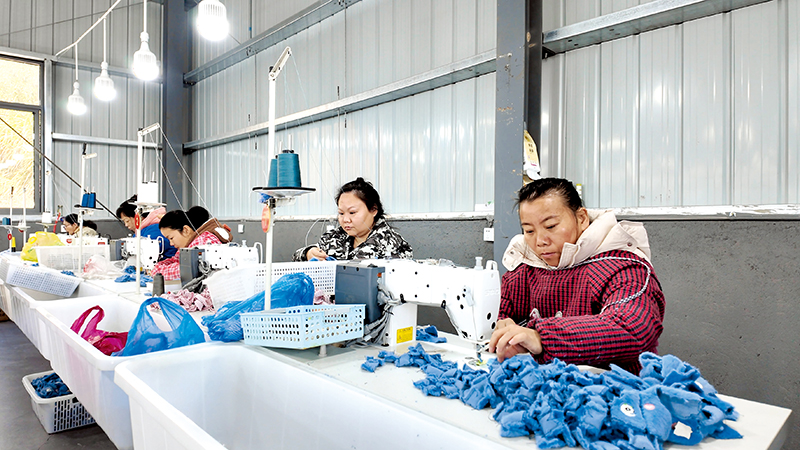 赤壁构建良性发展格局——“凤还巢”筑梦　“创业潮”富民