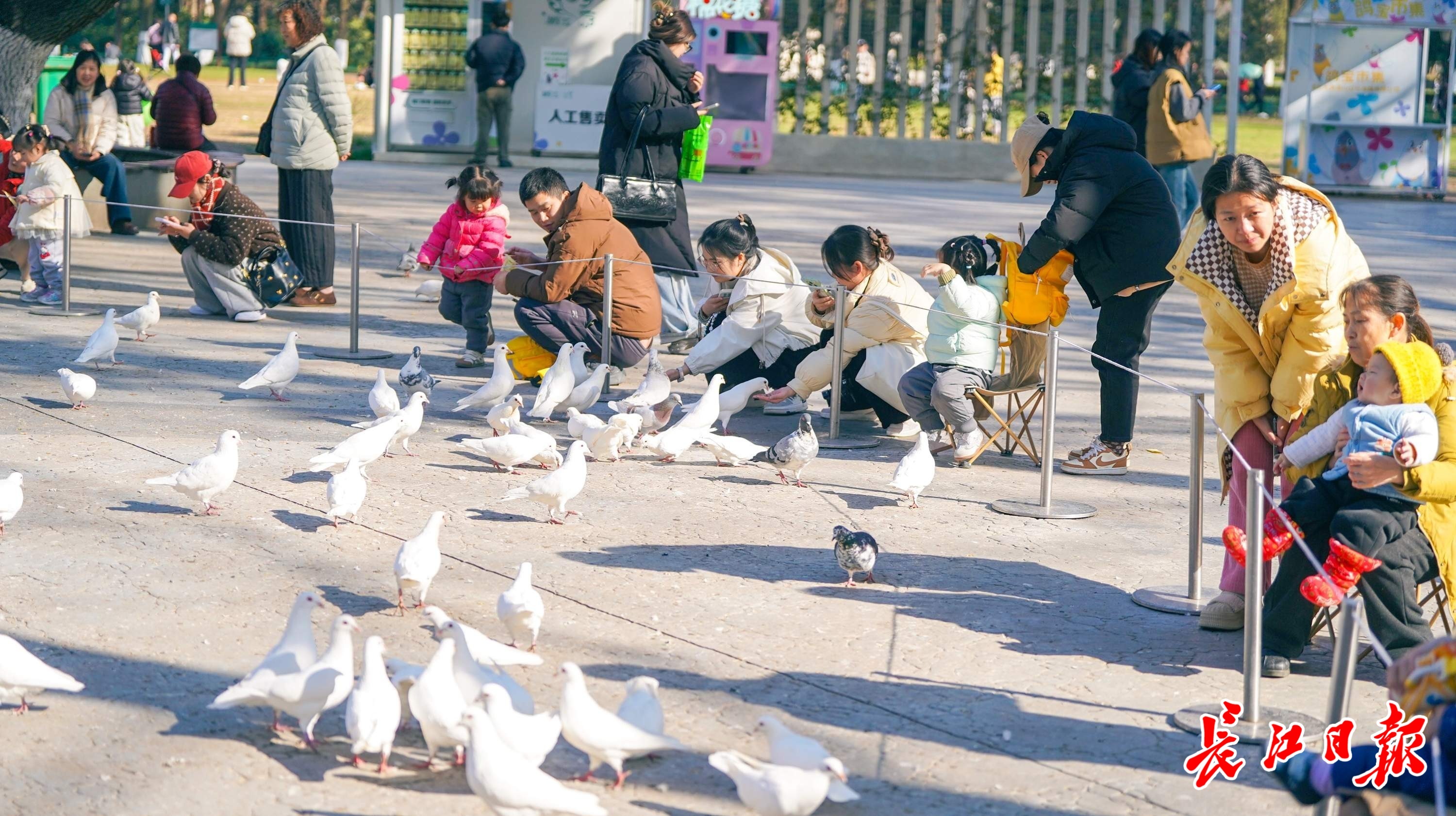 门户添“龙头”，沿线串联特色景观和活力空间，解放公园舞动1.5公里“黄金中轴线”