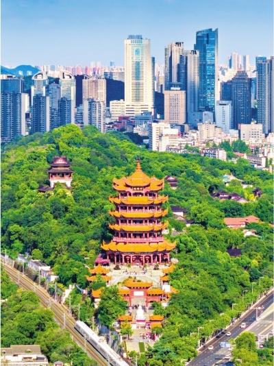 市人大代表、武昌区区长彭勇军： 奋力建设实力之城、活力之城、品质之城