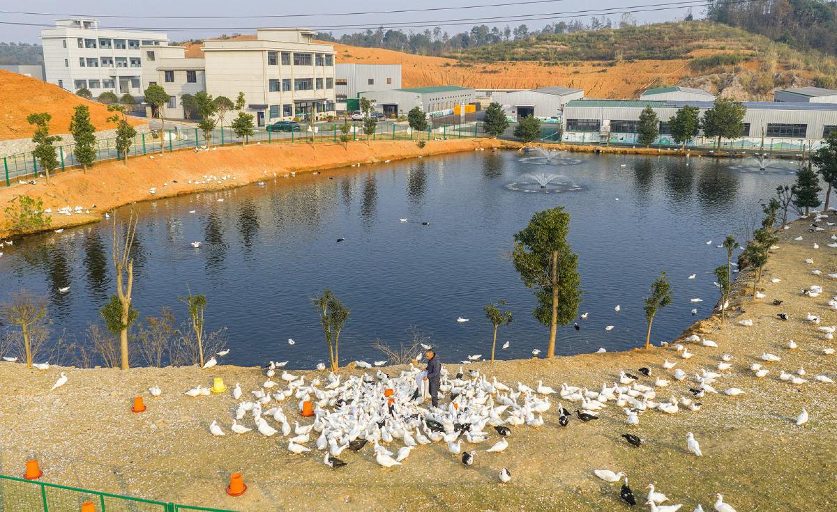 “三鲜”聚链香飘远　品牌赋能乡村兴