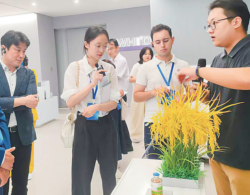 武汉创新药加速落地 “稻米造血”新药将进入省内八成医疗机构