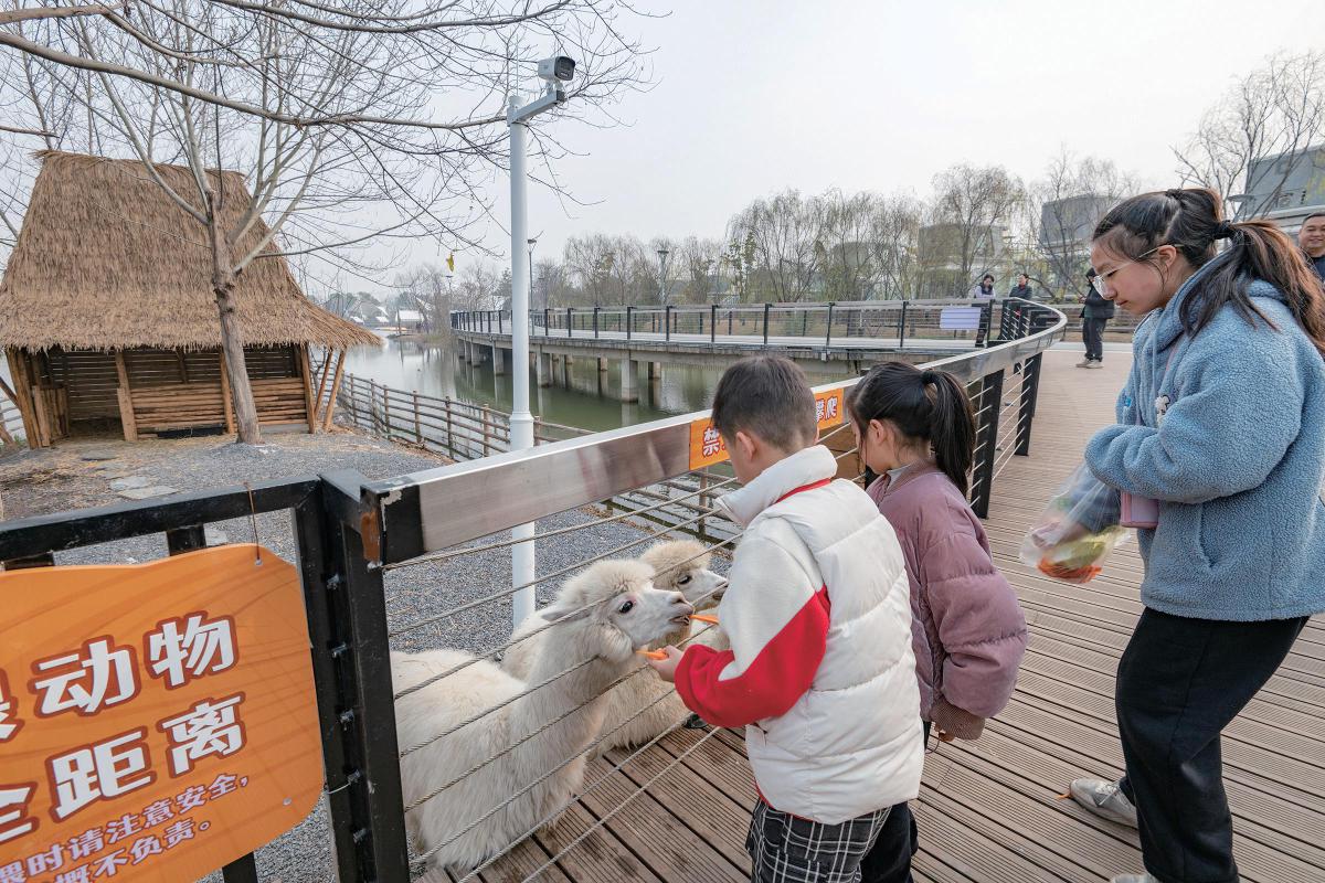 开发区·铁山区：“端”出特色“文旅大餐”迎客来