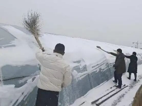 以雪为令 闻雪而动 长江新区全力迎战低温雨雪冰冻天气