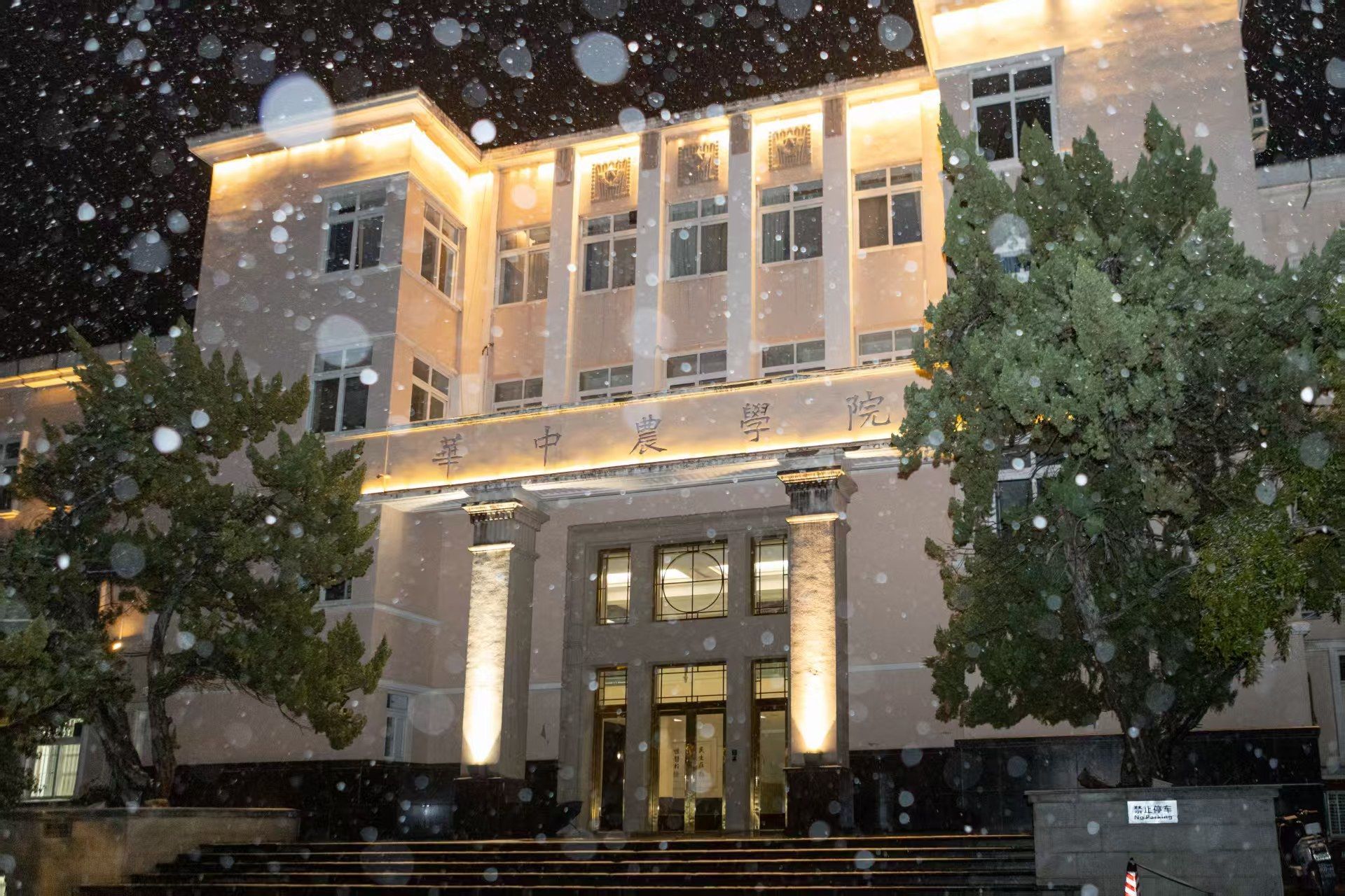 雪落珞珈，香漫桂子！武汉高校初雪图鉴