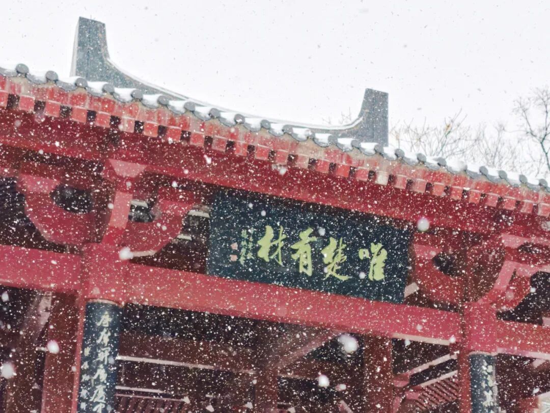 雪落珞珈，香漫桂子！武汉高校初雪图鉴