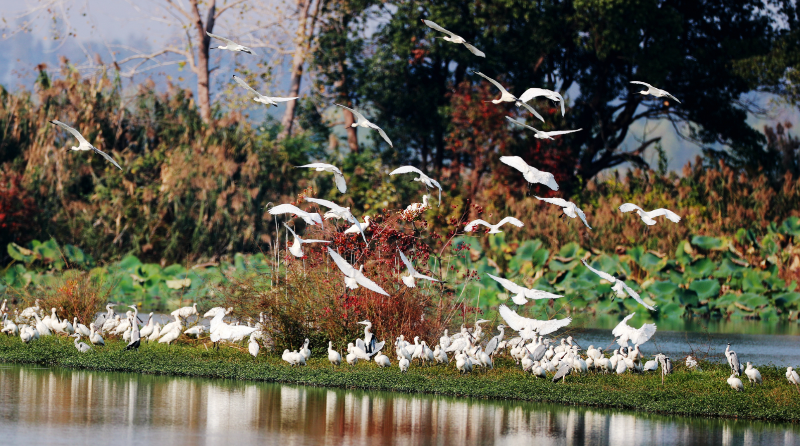 碧水清流映潜城——潜江“十四五”时期生态环境治理纪实