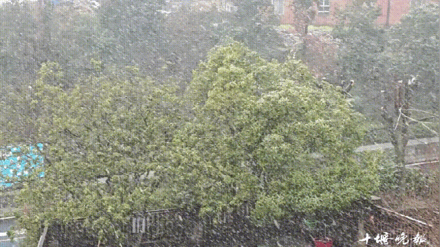 十堰下雪啦!