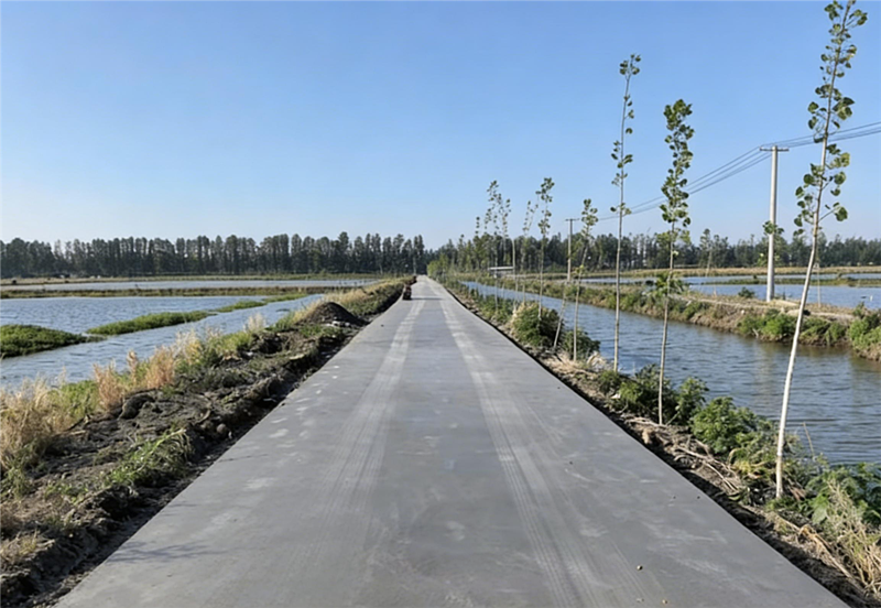 潜江市农田基础设施提质升级项目（白鹭湖及运粮湖片区）施工接近尾声