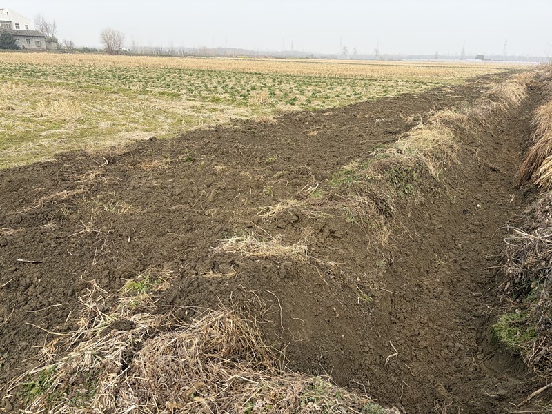 周矶管理区红旗社区：清淤疏渠解民忧 筑牢农耕保障线