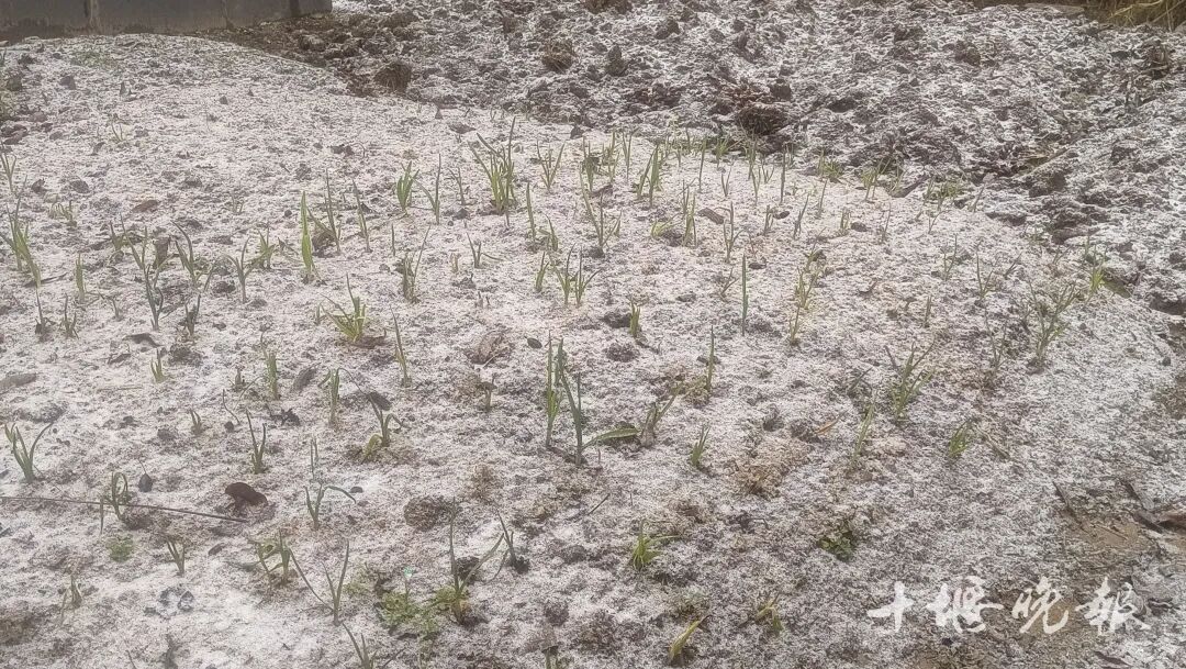 十堰多地降雪,更大的雪在今晚!春节还会下吗?气象资料显示……