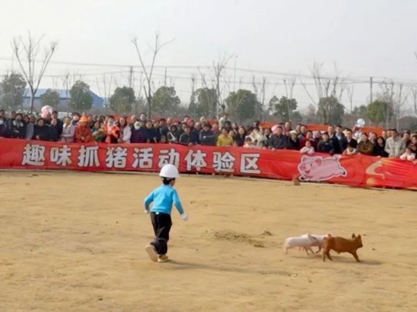 现场直击！漳河年货节第二期嗨翻全场，亲子野趣年味拉满！