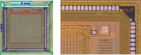 成果登《Nature》 华中师范大学PLAC实验室Topmetal芯片首次直接观测米格达尔效应
