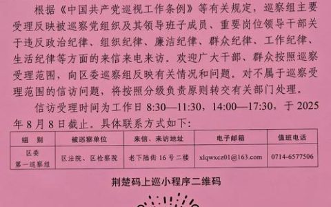 荆州市委第三巡察组向市中心医院党委反馈巡察意见