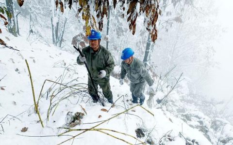 麻城市供电公司积极应对雨雪冰冻保供电