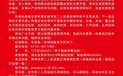 荆州市委第一巡察组向荆州市第二人民医院党委反馈巡察意见
