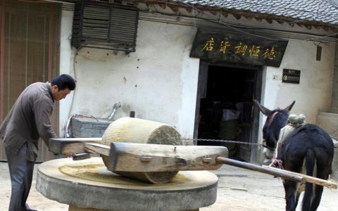 豆腐坊里“磨”出好日子