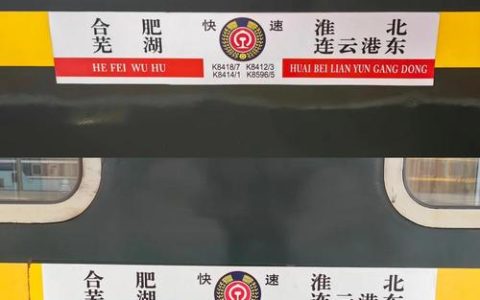 春节假期首日火车票开售 武九普速线、客专线增开多趟临客列车