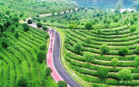 咸宁：绿色漫过一座城