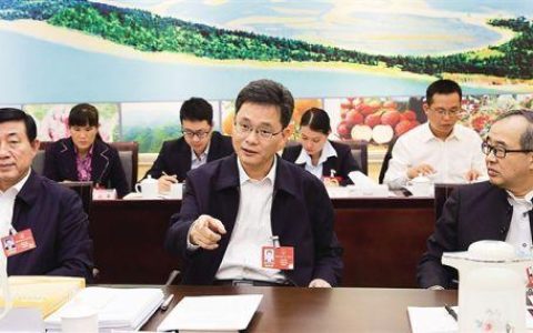 鄂州代表团举行小组会议审议省人大常委会工作报告