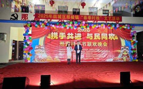 张金镇魏桥村举办2026年春节联欢晚会