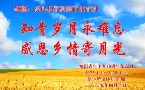 喜看家乡新变化　汇聚青春新力量