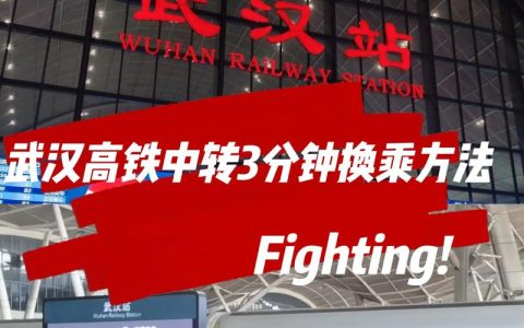 新春走基层丨武汉三座火车站绘出春运“立体拼图”
