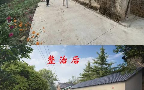 人居整治出实招 积玉口乡村颜值再提升