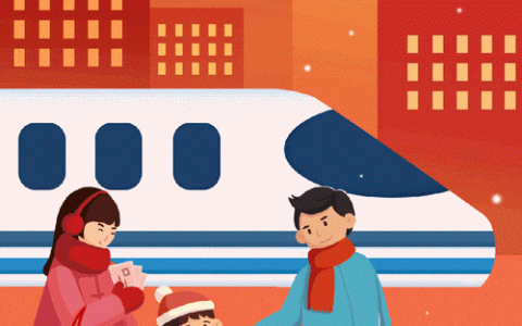 刚柔并济护春运　力保路畅与人安