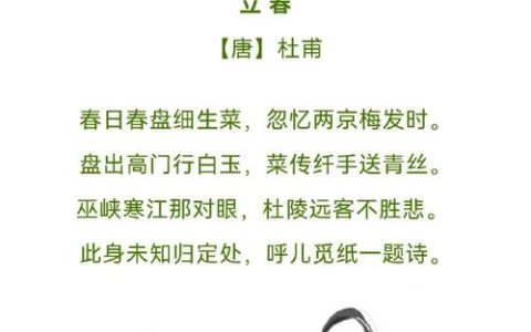 今日立春暖启新章