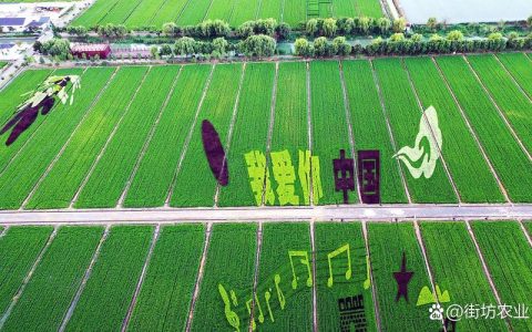 全面绘就乡村振兴新图景  咸宁农业全产业链综合产值突破900亿元