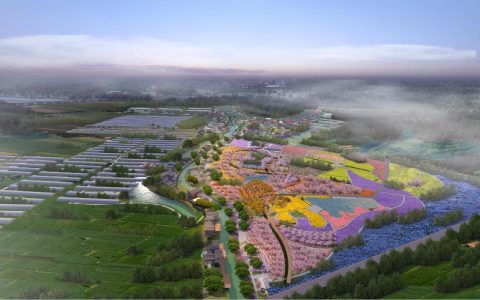 协力打造和美乡村