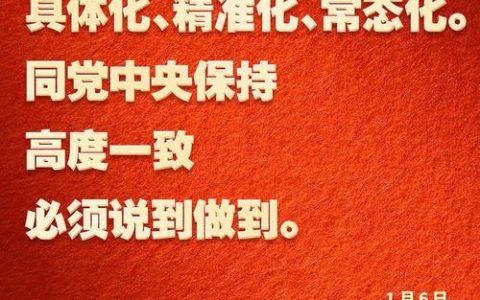 政治监督具体化、精准化、常态化 护航武汉高质量发展