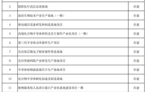 2025年武汉数智经济核心产业规模达1.1万亿元