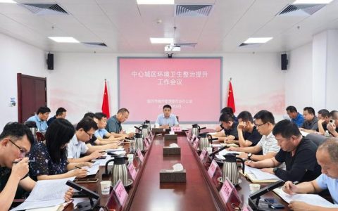 全市环境综合整治提升现场推进会召开：以绣花功夫推进城市精细化管理，持续提升超大城市环境品质