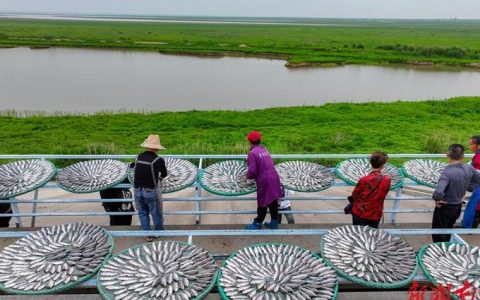 长效收益共享机制惠及大冶湖周边农户  渔民转身上岸　收入稳生活安